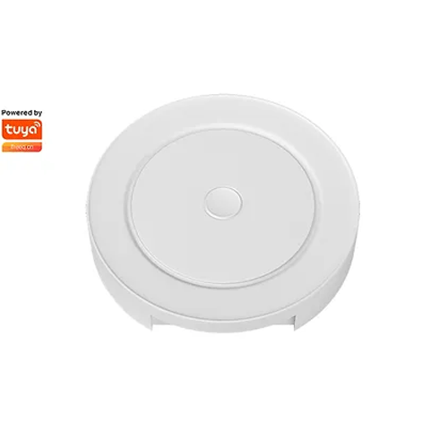 Smile ZBH200 Zigbee /Bluetooth  WiFi Gateway  до 200 свързани ZIgbee устройства и 100 BLE, RJ45