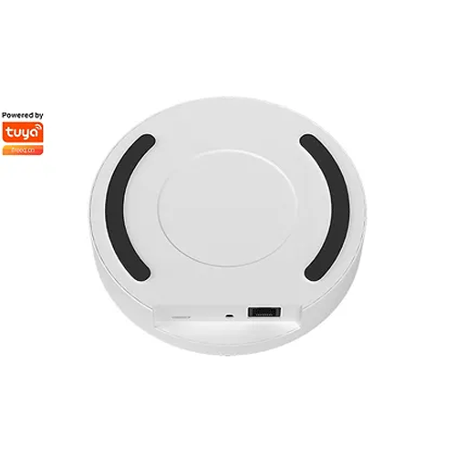 Smile ZBH200 Zigbee /Bluetooth  WiFi Gateway  до 200 свързани ZIgbee устройства и 100 BLE, RJ45