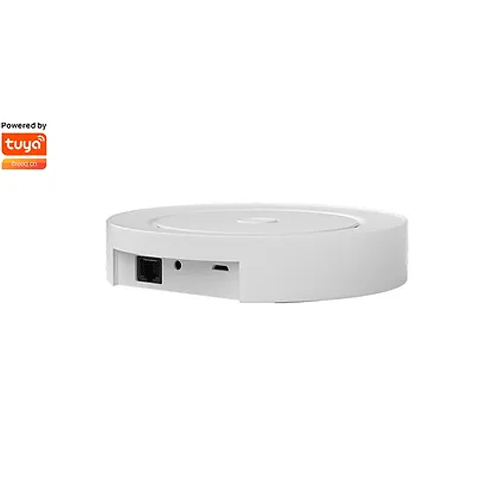 SMILE ZBBL200 Zigbee/Bluetooth WiFi Gateway up to 200 connected ZIgbee devices and 100 BLE, RJ45