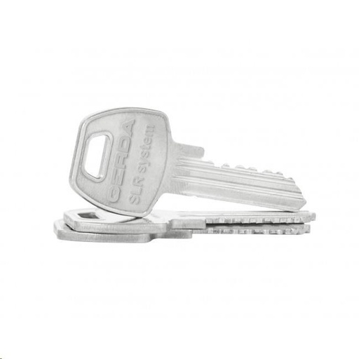 [41000021] DANALOCK KEY Резервен ключ за патрони Danalock