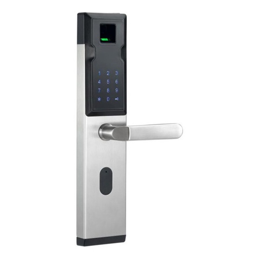 RGAC-2017F-Y-D Electronic code lock with fingerprint and reader